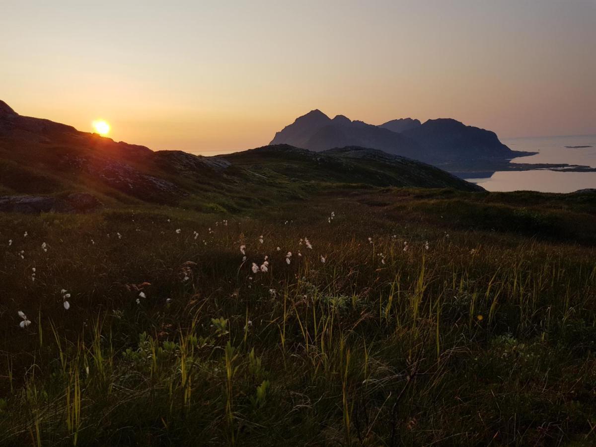 Villa Walter Lofoten With Sauna Kvalnes  Εξωτερικό φωτογραφία