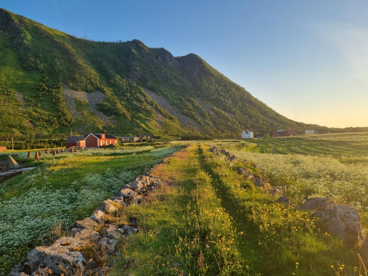 Villa Walter Lofoten With Sauna Kvalnes  Εξωτερικό φωτογραφία