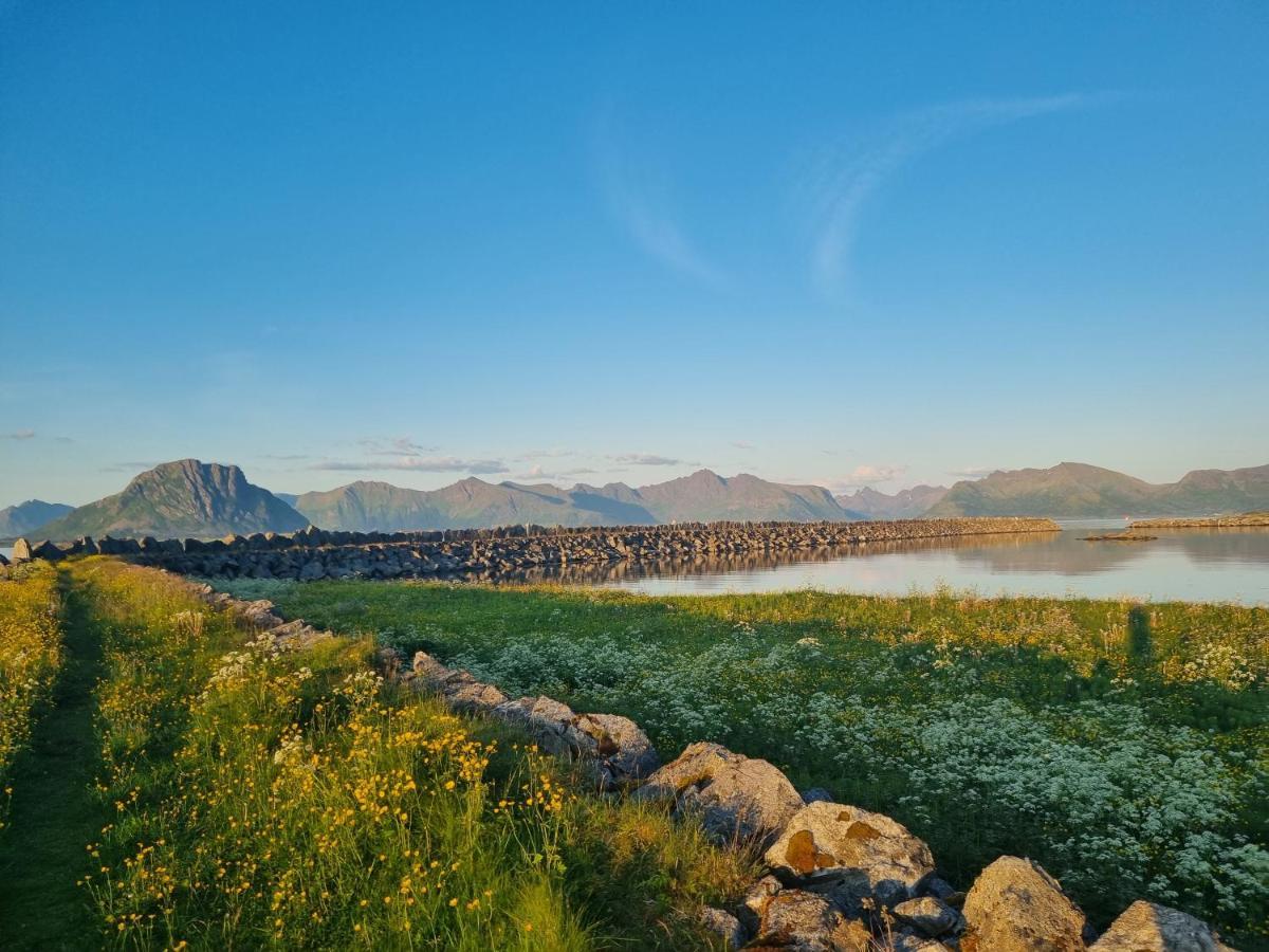 Villa Walter Lofoten With Sauna Kvalnes  Εξωτερικό φωτογραφία