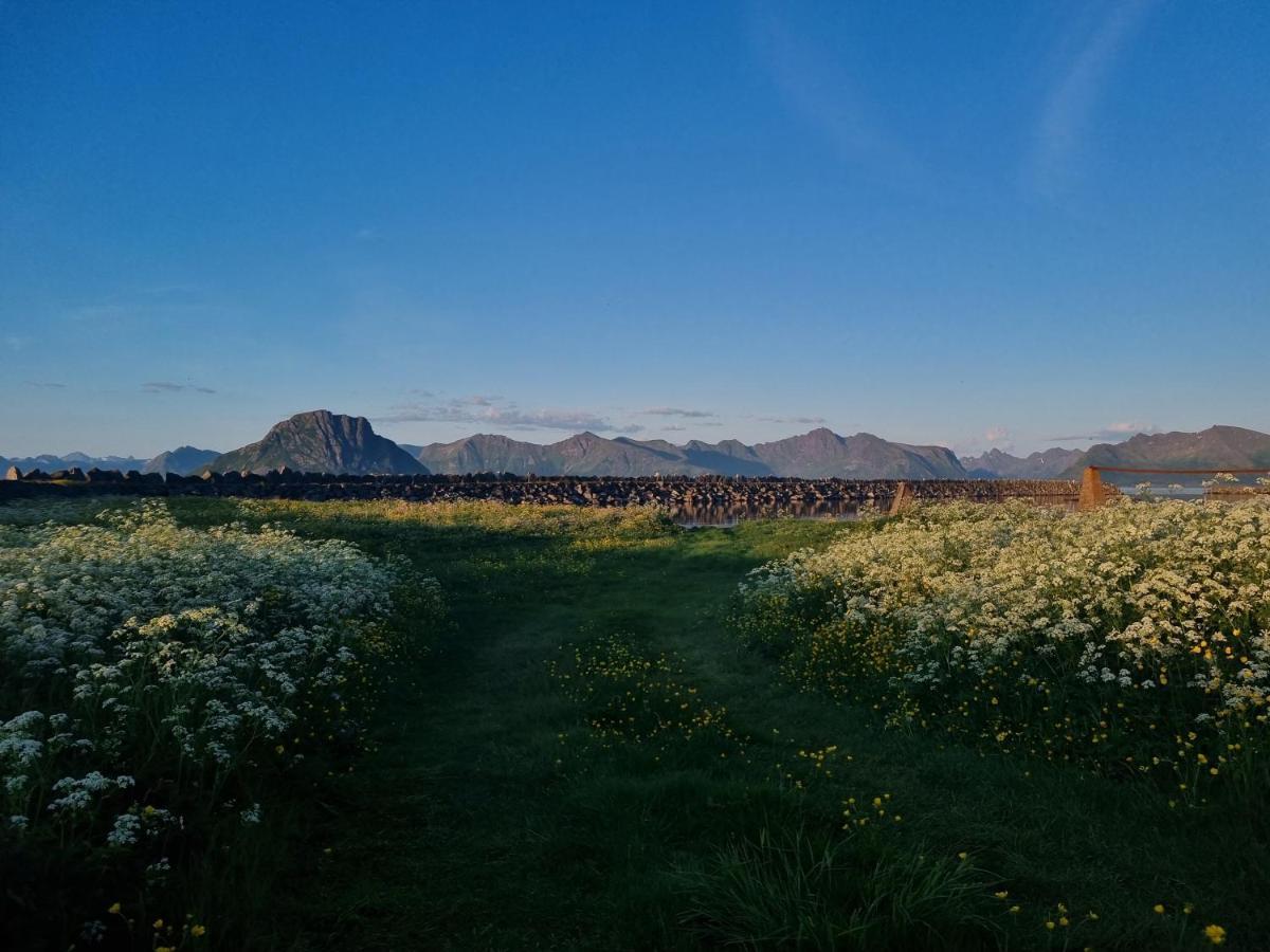 Villa Walter Lofoten With Sauna Kvalnes  Εξωτερικό φωτογραφία